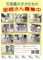ishigaki201102.gif