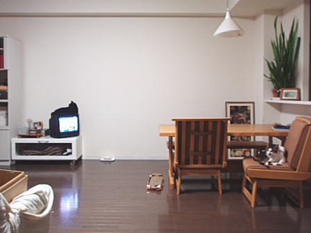 110724-3.jpg