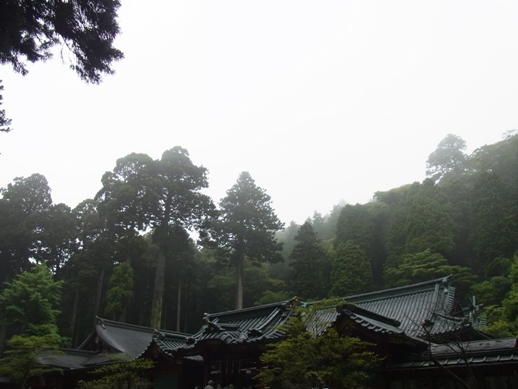 箱根神社混んでました
