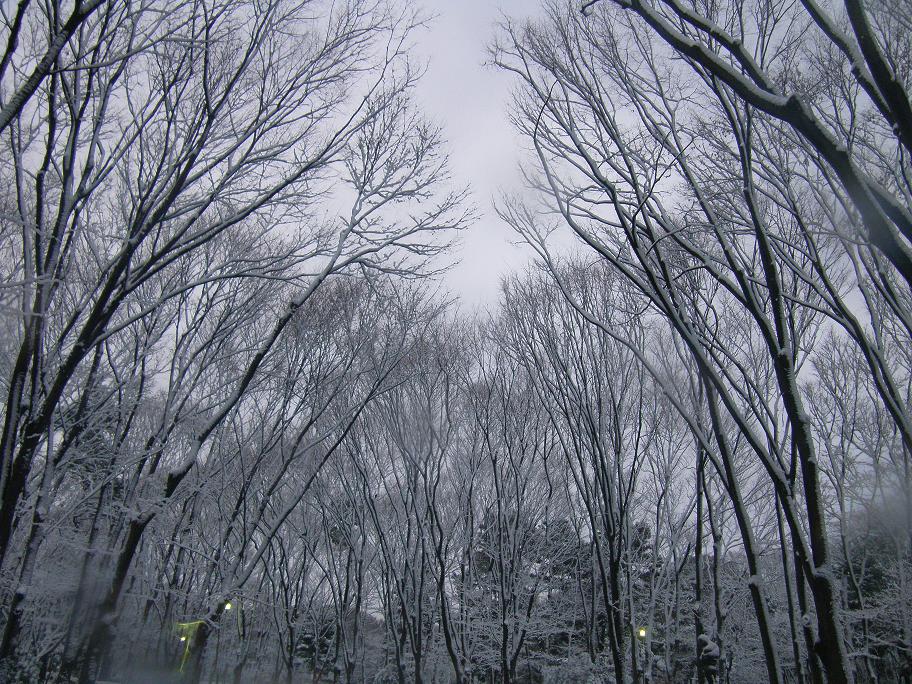 1日名城公園 -3-25
