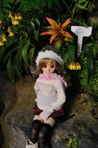 DSC_3702.jpg