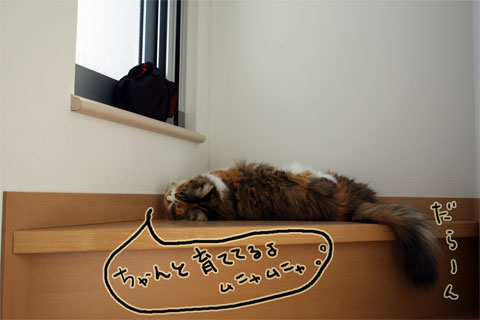 ぱんづくり1