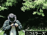 ニコニコ動画ランキング
