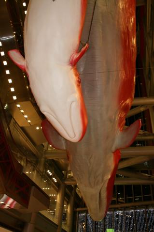 阪急のクジラ4456