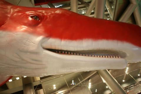 阪急のクジラ4458
