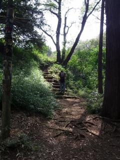 片倉城跡公園のトーテムポールの横の階段