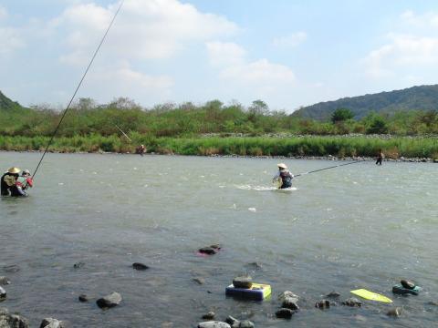 相模川鮎釣り022