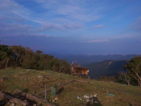 鍋割山 046_R