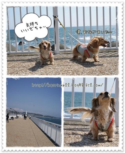 江の島だし。