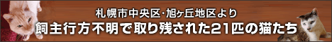 banner_sapporo_rescue.gif