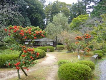 石山寺5