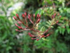 Img_4018.jpg