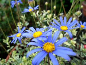 Img_4128.jpg