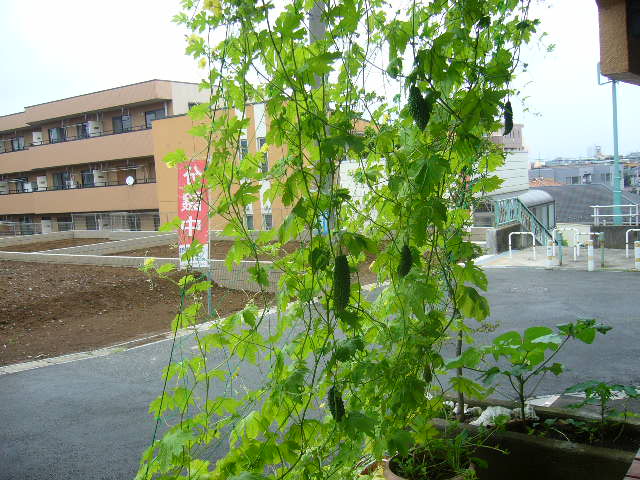 P1040644.jpg