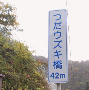 ウズキ