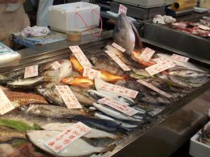 市場の魚