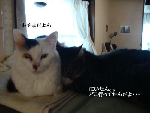 DSC01336.jpg