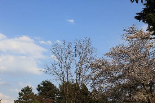 IMG_0096.jpg