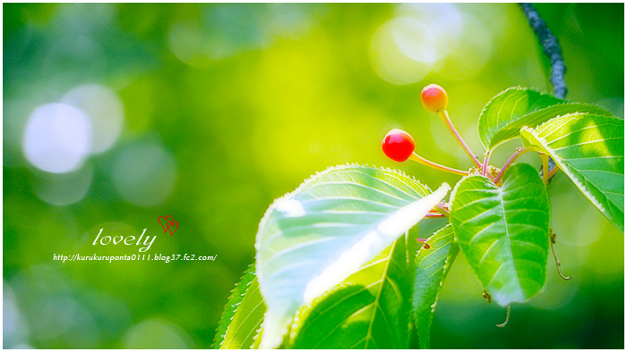 20110520-2-