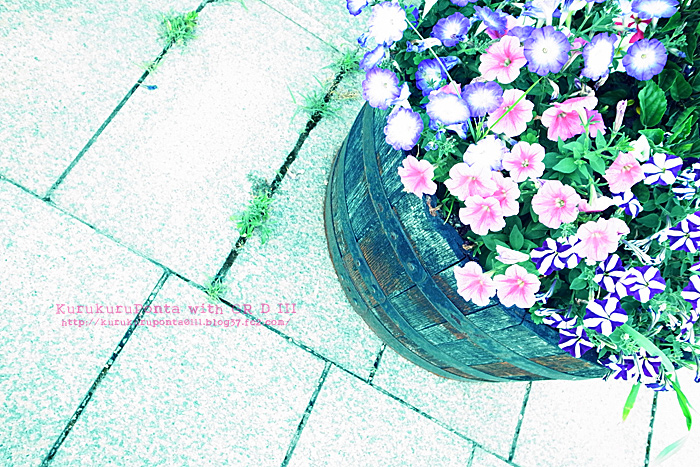 20110702-1-