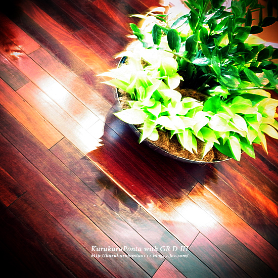20110709-4-