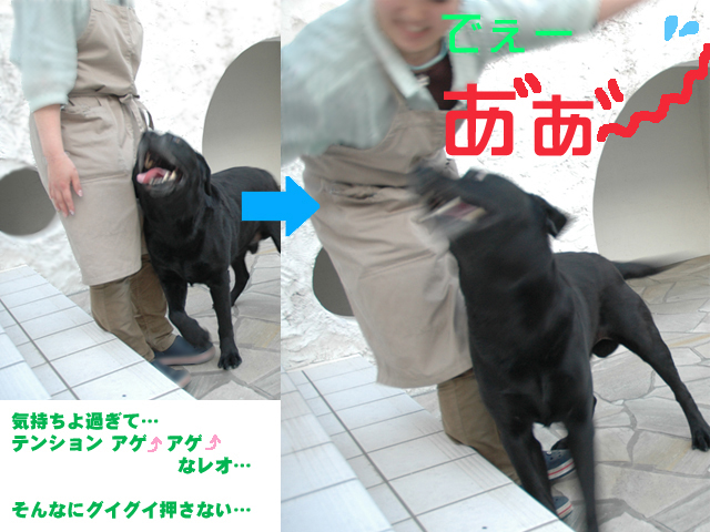 reo0502_3_1.jpg
