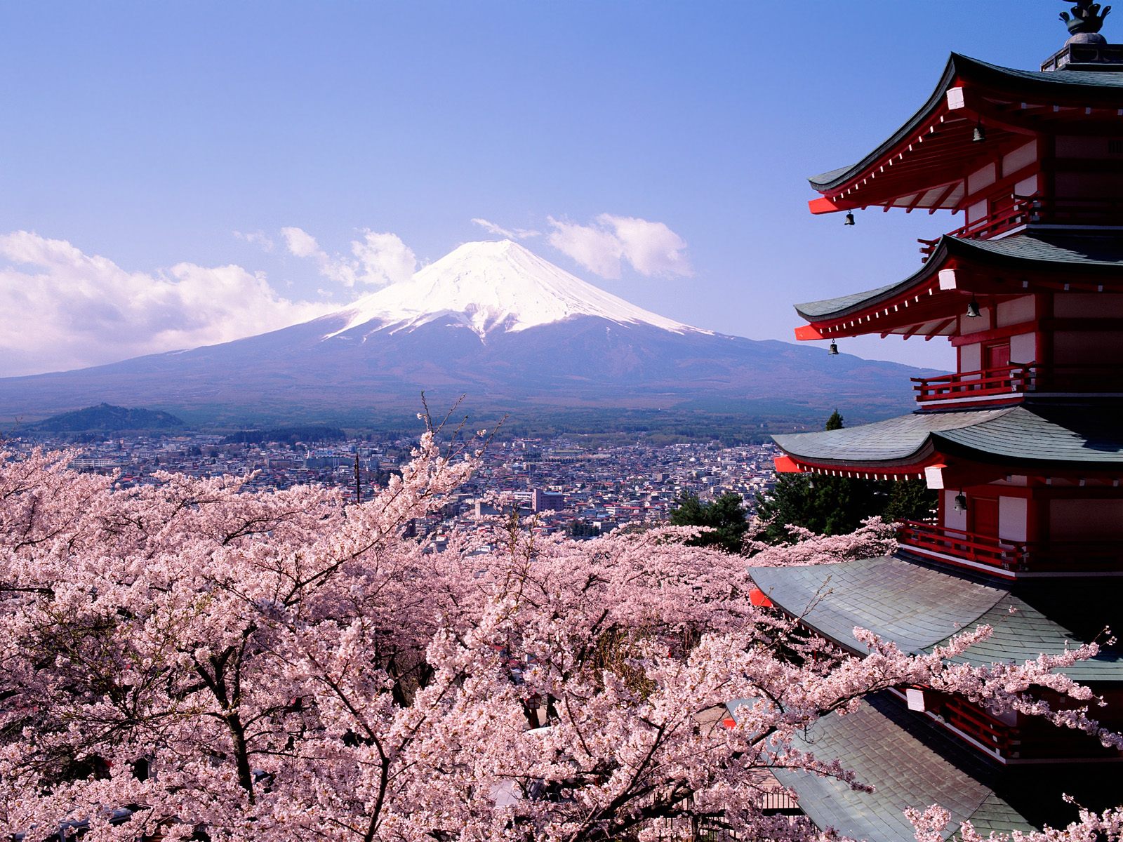 Cherry-Blossoms-And-Mount-Fuji-Japan-1-1600x12001.jpg
