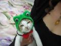 dscn4358.jpg