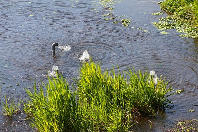 IMG_3839.jpg
