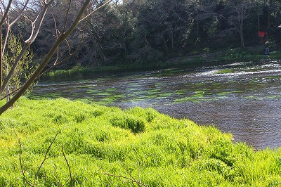 IMG_3841.jpg