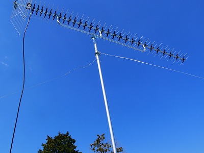 P1050980.jpg