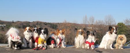 IMG_0001_16_20100110233403.jpg