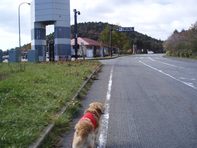 須山口登山歩道３（弁当場～水ヶ塚駐車場）2011.10.28 106