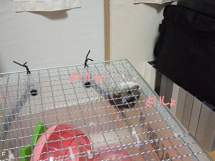 5まいめ
