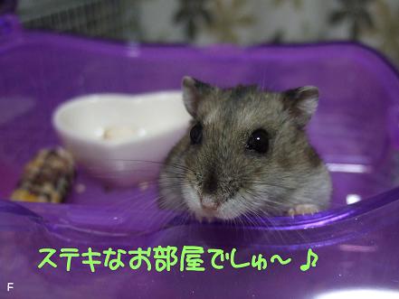3まいめ