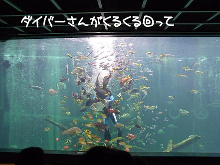 その6