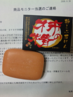 005_20091008131856.jpg