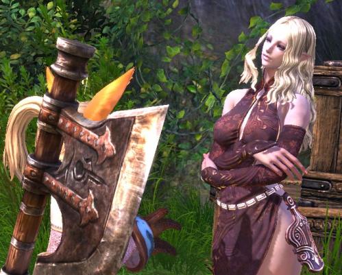 TERA_ScreenShot_20110808_154757.jpg