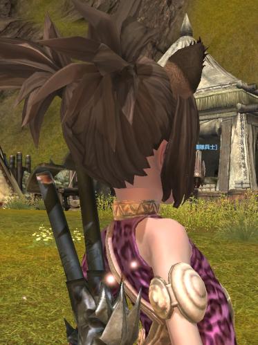 TERA_ScreenShot_20111023_063347.jpg