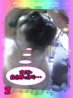 マロン実家02
