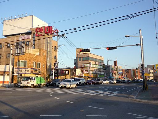 P1480430RSS.jpg
