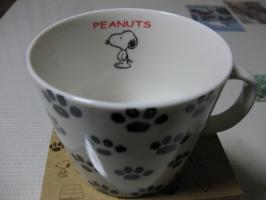 画像 20100501(2)