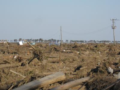 画像 20110405d