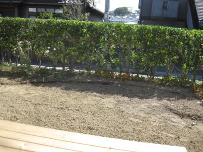 画像 20111018