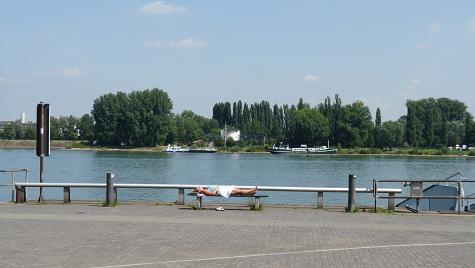 P1030942-1.jpg