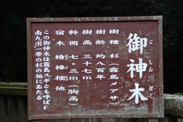 1004霧島3