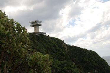 1005佐多岬1