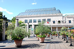 ランの館