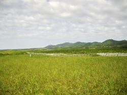 百人浜