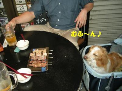 DSCN4375.jpg